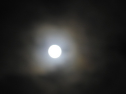 皆既月食(2)2011年12月10日.JPG